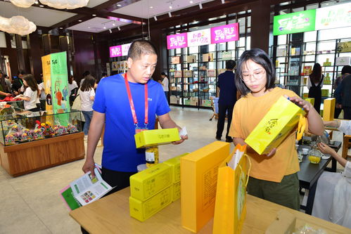 巨鹿新章 礼仪服务助力第二届旅发大会，绘就全域旅游新画卷